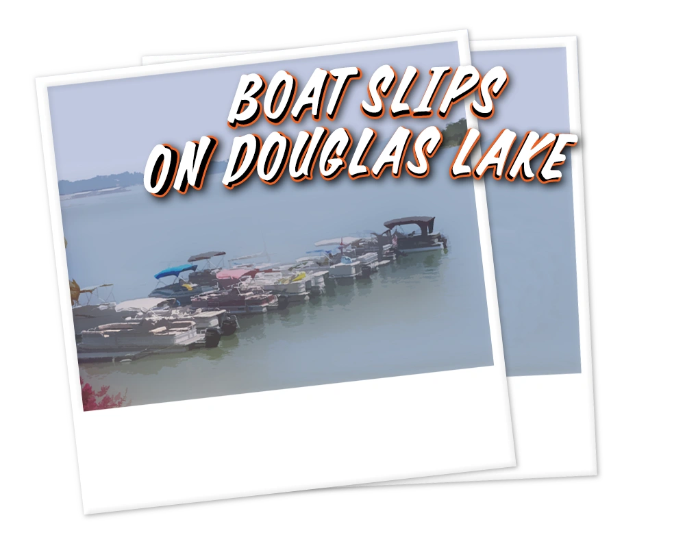 boat slips douglas lake